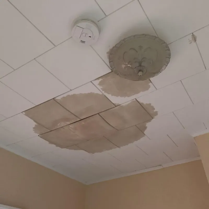Ceiling Water Damage Repair in Timberwood Park, TX