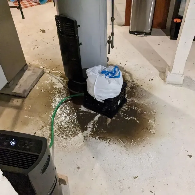 Sewage Backup Cleanup Service in Timberwood Park, TX